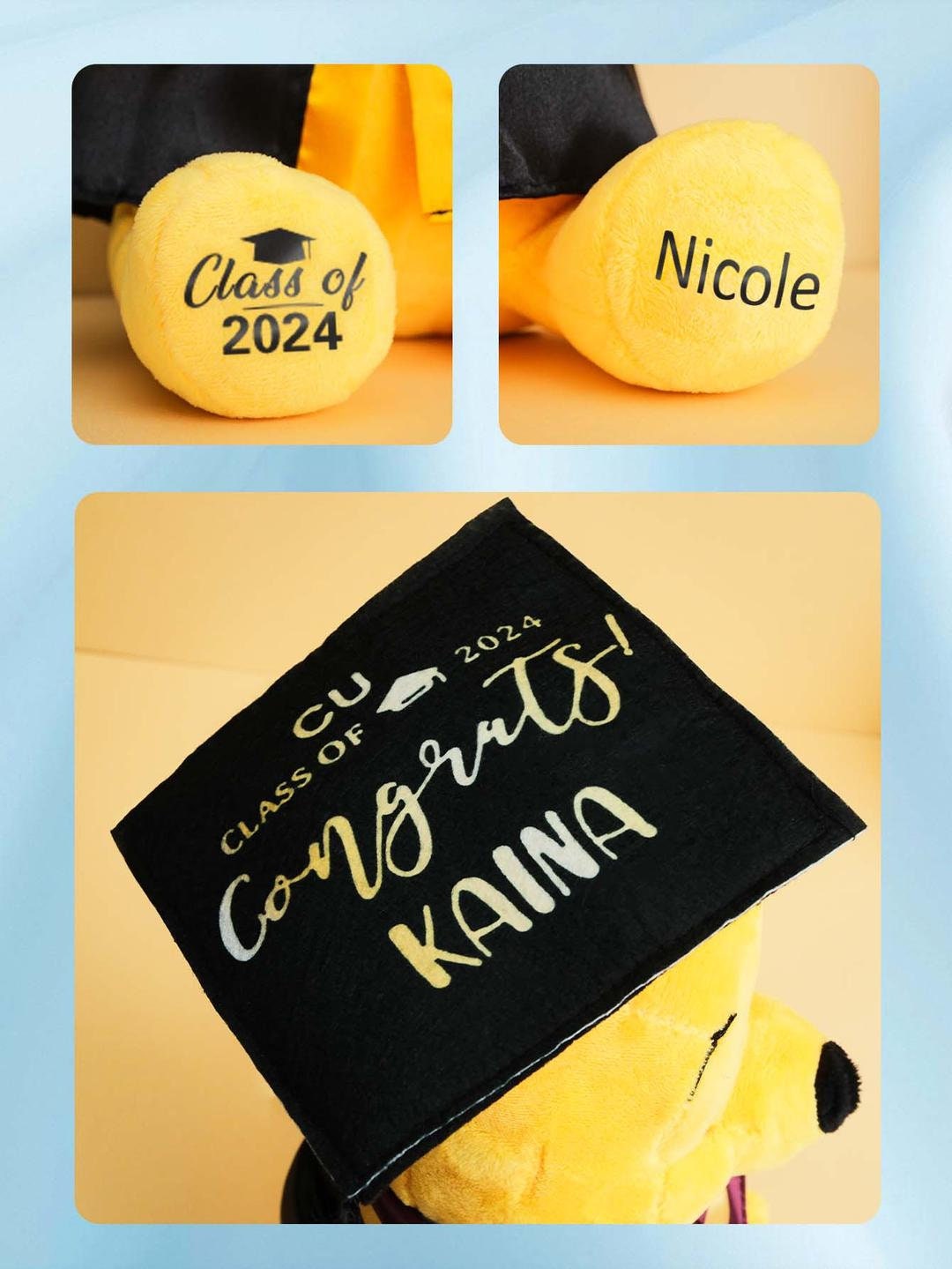 Personalized Grad. Bear Custom Graduation gift, Custom bear with Congratulations, Personalized Graduation bear, Kindergarten Graduation 2024